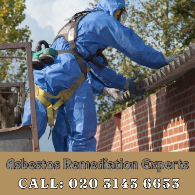 Asbestos Remediation Experts Whiteley Village