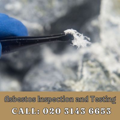 Comprehensive Asbestos Inspection and Testing Services in Whiteley Village